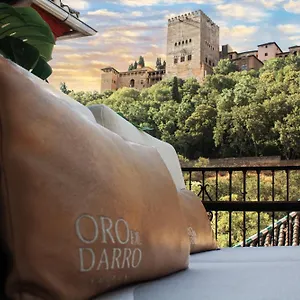 3* 아파트호텔 Bibo Oro Del Darro